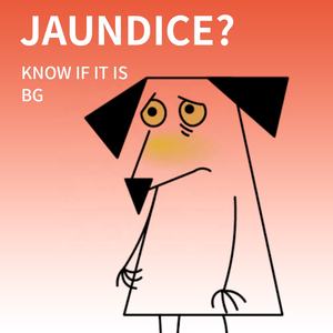ชุดตรวจสัตว์เลี้ยงแบบเร็ว วินิจฉัยโรคเบเบซิอาในสุนัข ชุดตรวจแอนติบอดีเบเบซิอา แคนิส และเบเบซิอา กิบสันนี สำหรับสุนัข - Product Image 3