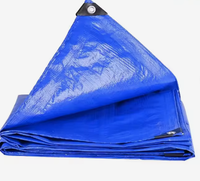 Bâche imperméable en PE enduit pour jardin, extérieur, bateau, camion, abri pour animaux, couverture de toit, bâche en PE résistante à l'eau