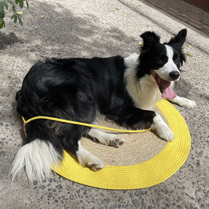 Alfombra de rascador para gatos de cordón de algodón tejido, lavable, multifunción, para descanso y afilado de garras - Product Image 5