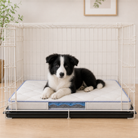 Gepolsterte Silikon-Hundeboxmatte mit kühlender blauer Einfassung, rutschfester Unterseite und Sichtfenster für Welpentrainingsboxen