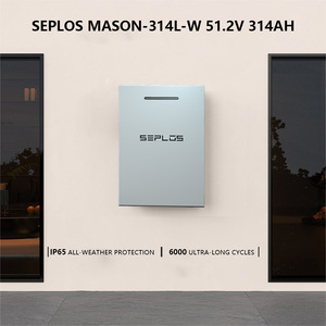 Système d'Énergie Solaire Seplos 48V 200Ah 300Ah Power Wall Lithium Ion <span class=keywords><strong>UPS</strong></span> Pack Stockage d'Énergie Domestique 15KW 314Ah Batterie Lifepo4 51.2V - Product Image 5