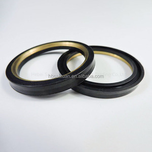 OEM chống ăn mòn 2 inch cắm van sửa chữa con dấu <span class=keywords><strong>Kit</strong></span> Nitrile buna NBR cao su cắm van con dấu sửa chữa <span class=keywords><strong>Kit</strong></span> với Brass chèn - Product Image 3