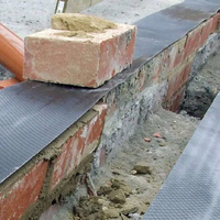 Mur de soutènement DPC anti-moisissure et anti-termites, application sans joint, soudable à chaud, étanchéité à l'humidité pour fondations
