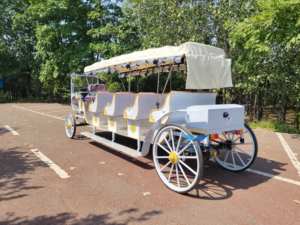 Vehículo de transporte personal eléctrico de 11 plazas/4 filas de asientos de carruaje de caballos - Product Image 2