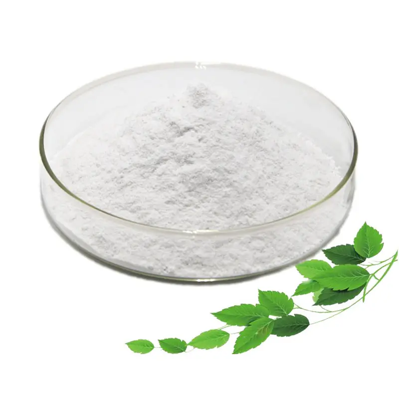 Ausgezeichnete Qualität natürlicher Süßstoff Steviosiden Stevia-Extraktpulver