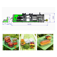 Fabrieksverkoop servomotor driestation thermovormmachine voor het maken van PET-plastic fruit-vershouddozen