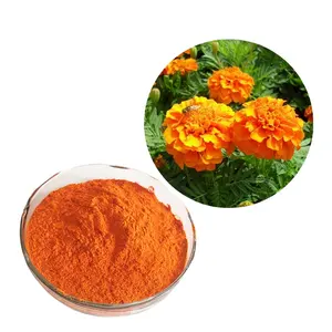 tablet manufacturer hot sale High Quality Calendula Extract tea Powder with best price