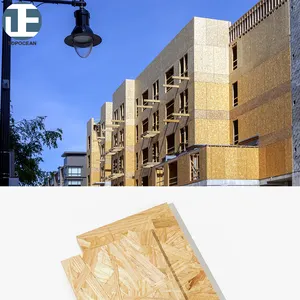Water Resistant Wall Panel 1220*2745 9.5mm 12 Mm Osb2 3 Structural Wallboard Osb For Construction Exterior