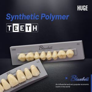 Énorme cadeaux en résine, <span class=keywords><strong>haut</strong></span> de gamme, 2 couches, cloche de dents appliquée dans les couronnes dentaires, facettes, couches et dentielles complètes - Product Image 5