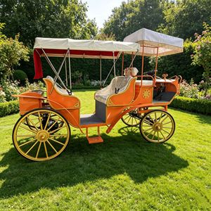 Charrette/Calèche/Chariot Électrique de Luxe de Style Européen pour Mariages et Visites Touristiques - Product Image 1