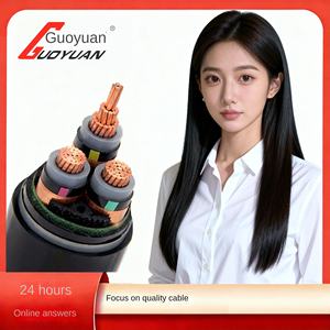 Câble électrique en cuivre YJV/YJV22 0,6/1KV, norme nationale, 1 à 5 conducteurs, 10 à 300 mm², fabriqué en Chine pour la transmission d'énergie - Product Image 2