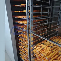 Nieuwe type industriële warmtepomp mango droogmachine automatische multifunctionele grote capaciteit fruitdroger directe verkoop
