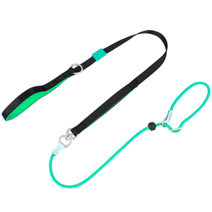 Laisse de corde antidérapante <span class=keywords><strong>pour</strong></span> <span class=keywords><strong>chien</strong></span>, solide et confortable, extrêmement durable, laisse d'escalade en nylon de qualité supérieure, rayée - Product Image 1
