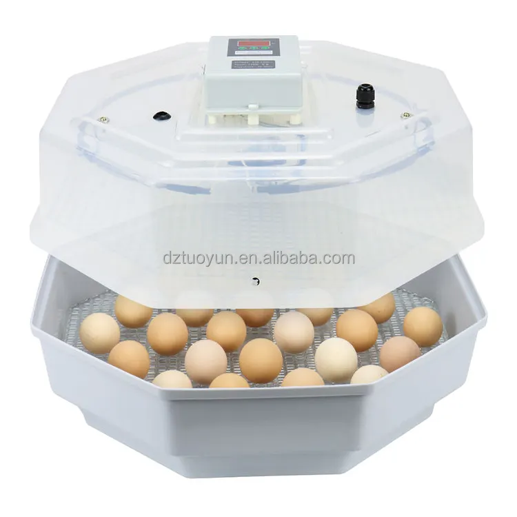 حاضنة TUOYUN سهلة الاستخدام بسعر مفاجأة بمقياسات Jn5-60 لتخزين 60 بيضة