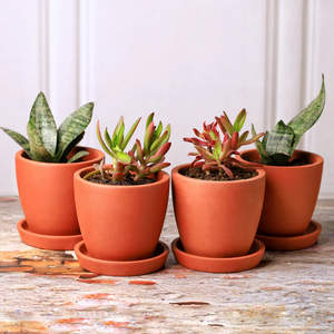 Juego de 4 Macetas de Terracota Kullad Hechas a Mano para Interiores y Exteriores, Balcón, Terraza, Jardín, Decoración del Hogar, Macetas Rústicas de Arcilla - Product Image 6