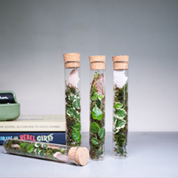 Tube à essai à fond plat Terrarium en mousse artificielle Tube de verre Plantes Terrariums en bois avec couvercle en liège