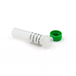 Hua Chenyang Pfu ADN Polimerasa 500U 1ml Enzima de Alta Fidelidad para Aplicaciones de PCR - Product Image 1
