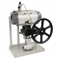 Vanne de protection de débit minimum pneumatique, type globe à passage direct, pour pompe d'alimentation de chaudière, système de centrale électrique, OEM