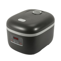 Cuiseurs à riz 5l de grande capacité pour ménage intelligent multifonction automatique à faible teneur en sucre à faible teneur en glucides