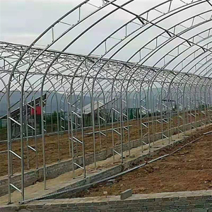 बड़े हाइड्रोपोनिक कृषि ग्रीनहाउस बहु-अवधि स्टील और प्लास्टिक फिल्म सुरंग वनस्पति बीजों के लिए टिकाऊ धातु फ्रेम - Product Image 3