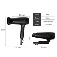 Buse de concentrateur de sèche-cheveux en plastique pliable professionnel paramètres de chaleur chaude Source d'alimentation électrique fournisseur d'usine pour les hôtels