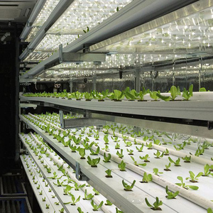Ampia Fattoria in Container con Sistema Idroponico Verticale per Coltivazione di Verdure, Serra Climatizzata a Funzionamento Automatico - Product Image 2