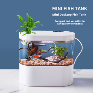 Filtrazione silenziosa, piccola Mini ecologica, plastica Ultra-bianca, non c' è bisogno di sostituire l'acquario per il soggiorno Desktop acquario - Product Image 2