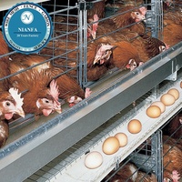 Cage à poulets de chair à prix d'usine, cage en treillis soudé pour l'élevage de cailles et de poulets, directement de l'usine de Guangzhou