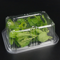 Microgreens-caja de embalaje con bisagras para verduras, contenedor de bandeja para verduras, frutas y verduras