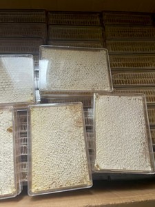 100% Reiner Roher Honigwaben-Frischhonig, Bio-Wildhonig in Lebensmittelqualität, Großpackung, Neue Ernte, Bienenprodukt - Product Image 3