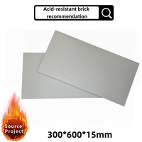 Briques résistantes aux acides de taille standard (300x600mm) - Résistance aux acides de 99,8% - Absorption d'eau de 0,2% - Haute résistance à la flexion pour l'alimentation