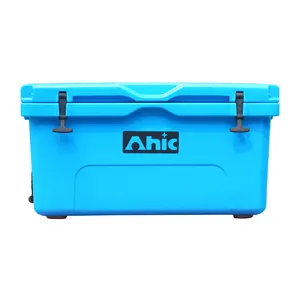 AHIC AH65 Portable Cold and Warm Storage 65L icecream cooler box