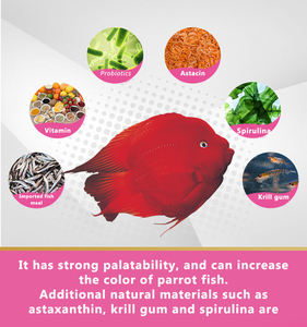 Inch Gouden Visvoer Bloedpapegaai Voegt Rode Kleur Toe En Verdient Een Fortuin In De Groothandel In Visvoer - Product Image 6