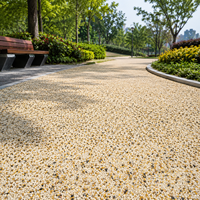 Revêtement durable en résine polyuréthane non jaunissant, pavés de galets naturels lavés pour les allées et trottoirs extérieurs des parcs
