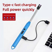 Briquet électronique à impulsion pour usage en cuisine, recharge rapide Type-C, indicateur de niveau de charge, coupe-vent, pour l'extérieur (vente en gros)