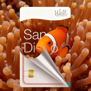 Mini Etiqueta Desechable de PVC <span class=keywords><strong>2026</strong></span>, 13.56MHz, Tarjeta de Negocios para Hotel, Interfaz de Comunicación NFC 1k, Control de Acceso a Puertas, Clásica, Impermeable - Product Image 6