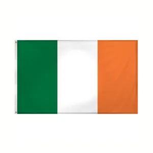 사용자 지정 2022 세계 국가 플래그 100% 폴리 에스터 3x5 아일랜드 국기