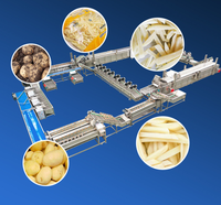 Commerciële productielijn voor aardappelchips van roestvrij staal, inclusief snij- en frituursysteem