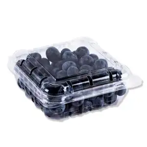 一次性小塑料125克水果翻盖蓝莓包装容器