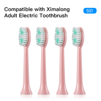 Têtes de rechange pour brosse à dents sonique, compatibles avec les brosses à dents quotidiennes durables pour l'hygiène bucco-dentaire, fournisseur B2B