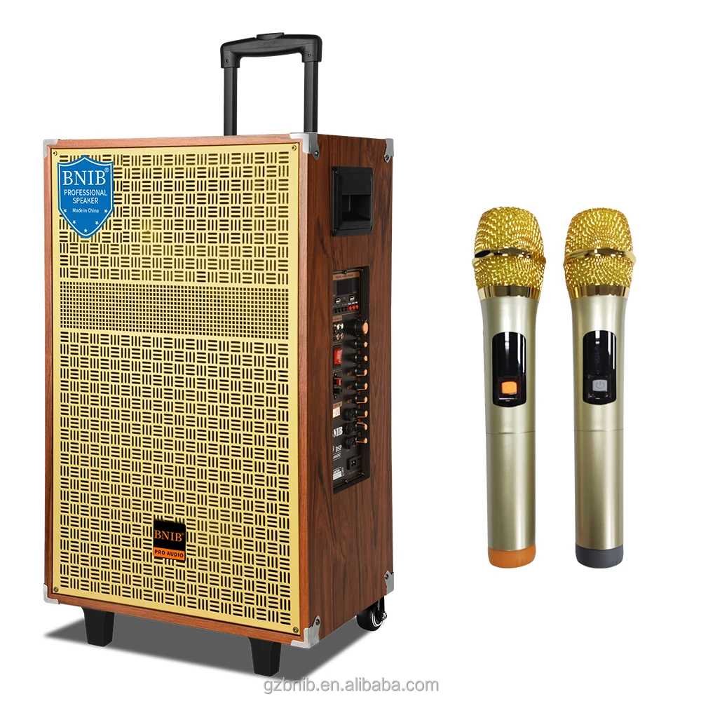 Деревянная акустическая система беспроводной OEM колонки Tws аудио система звука караоке 12 дюймовый динамик для Dj вечеринки для отдыха на открытом воздухе