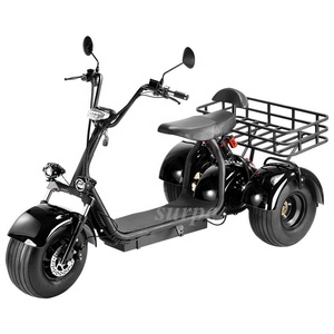 Lốp Chất Béo Pin Lithium 2000W 60v1 2ah/20ah Xe Điện 3 Bánh Citycoco Ghế Lớn Có Giỏ - Product Image 4