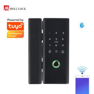 Smart Fingerprint Biometric Locks Digital Keyboard Password Ttlock Wifi Glass Smart Door Lock