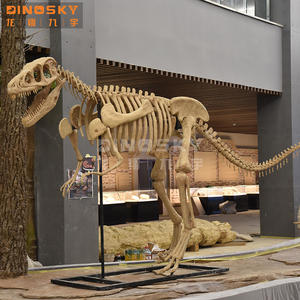 Fossiles <span class=keywords><strong>de</strong></span> dinosaures Liopleurodon artificiels, <span class=keywords><strong>simulation</strong></span> <span class=keywords><strong>de</strong></span> T-rex, squelette <span class=keywords><strong>de</strong></span> dinosaure, exposition muséale, exposition d'amusement, DINOSKY - Product Image 3