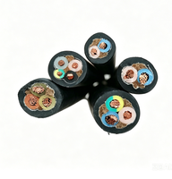 Câble en caoutchouc flexible EPR de type YC avec conducteur en cuivre 450V pour ascenseurs, grandes grues, équipements portables, alimentation temporaire