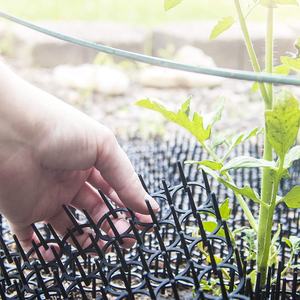 उद्यान बिल्ली से बचाने वाली क्रीम मैट निवारक चटाई स्पाइक, आउटडोर इनडोर संयंत्र संरक्षण प्लास्टिक विरोधी बिल्ली कुत्ते पक्षी Spikes से बचाने वाली क्रीम चटाई - Product Image 5