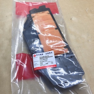 Filtre à air OEM CruiSym Alpha, Joymax Z/Z+, Joymax/GTS 125-300, 17211-HMA-000 - Product Image 1