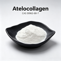 Poudre d'Atelocollagène Type I à Faible Irritation, Collagène Triple Hélice pour Peaux Sensibles, Réparation Post-Procédure, Matière Première Cosmétique