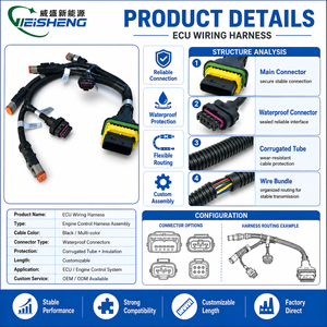 맞춤형 ECU 와이어 하네스 엔진 제어 케이블 어셈블리 방수 커넥터 OEM - Product Image 3