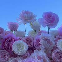Décorations murales modernes en fleurs de soie 5D rouges pour mariages en extérieur, de haute qualité, écologiques et durables, marque Starmap